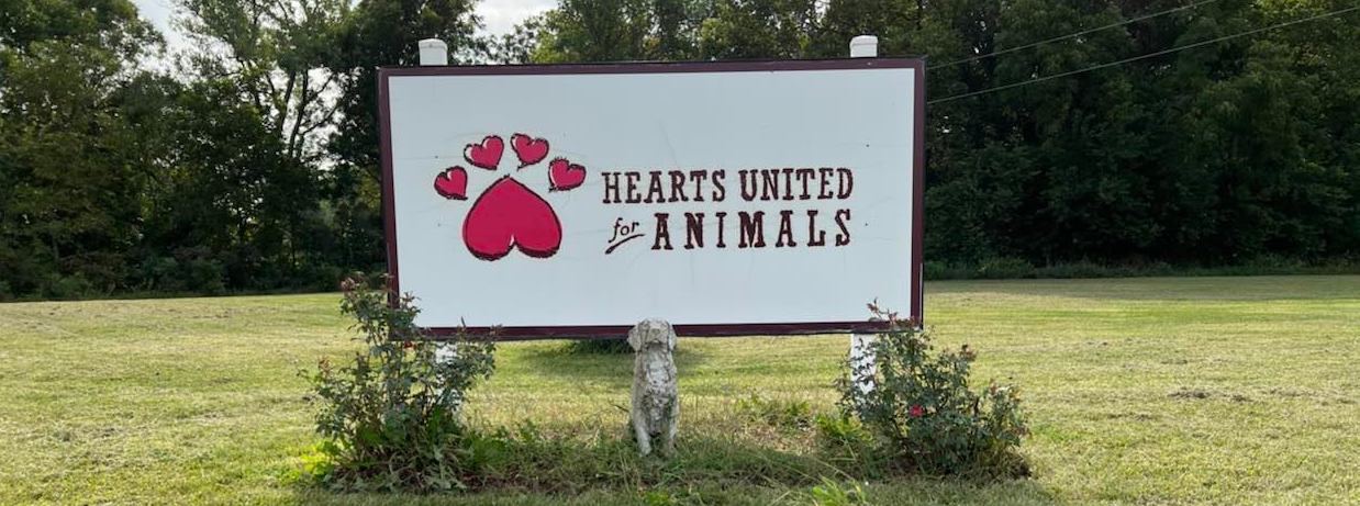 Yankee  Hearts United for Animals